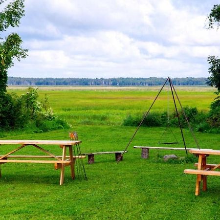 Wilcza Nora - Pole Biwakowe Hotel Dolistowo Nowe ภายนอก รูปภาพ
