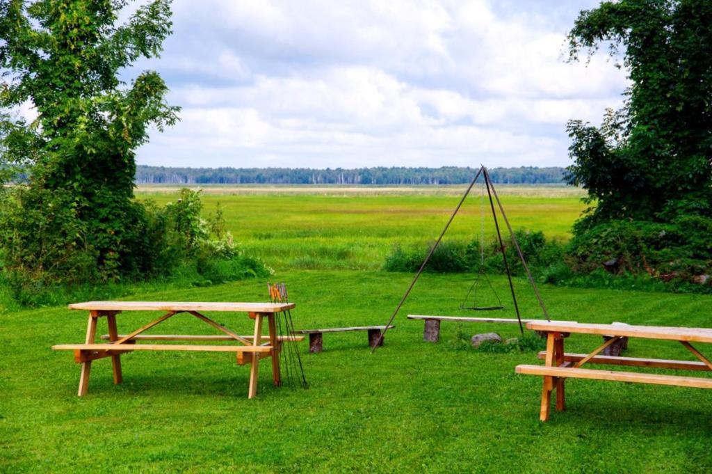 Wilcza Nora - Pole Biwakowe Hotel Dolistowo Nowe ภายนอก รูปภาพ